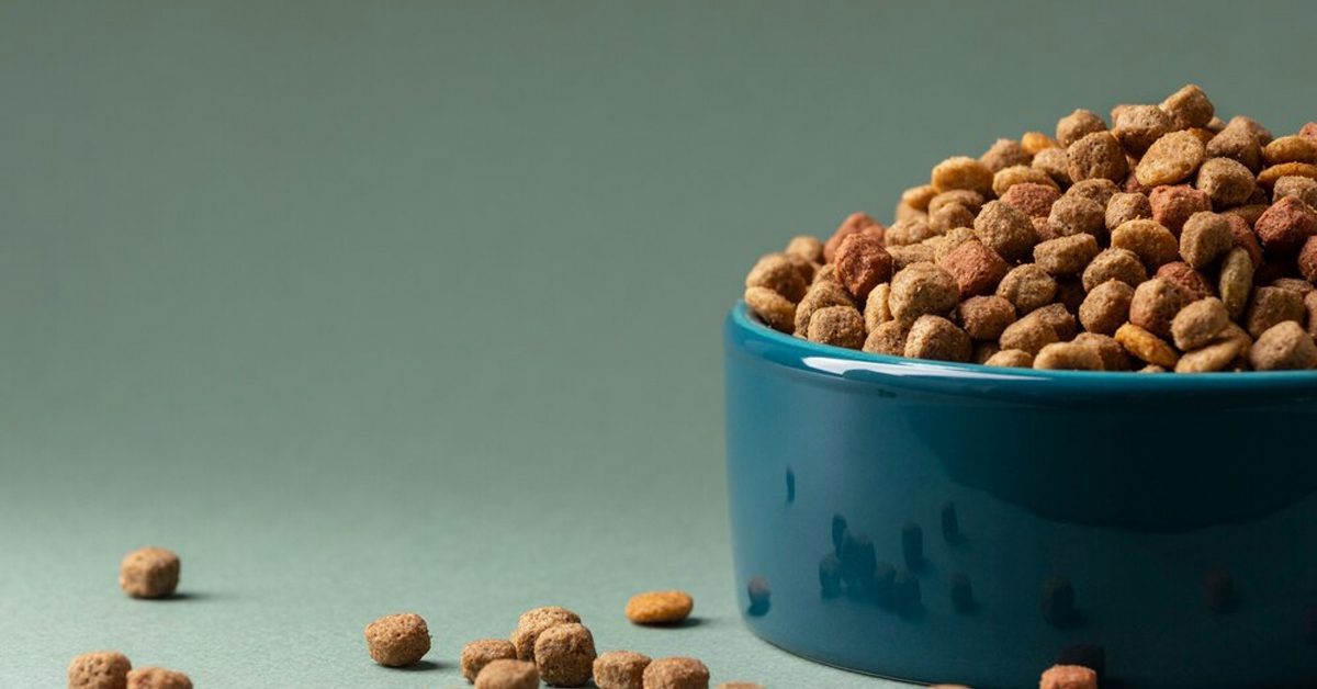 Why Quality Pet Food Matters: Benefits for Your Dog or Cat’s Health