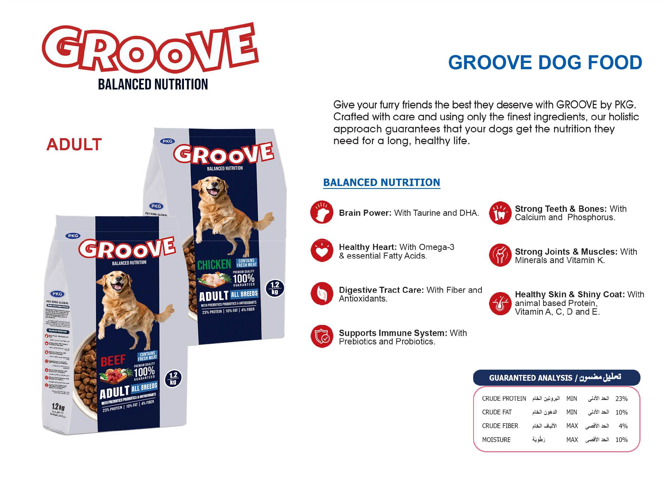 Groove Adult Dog-01